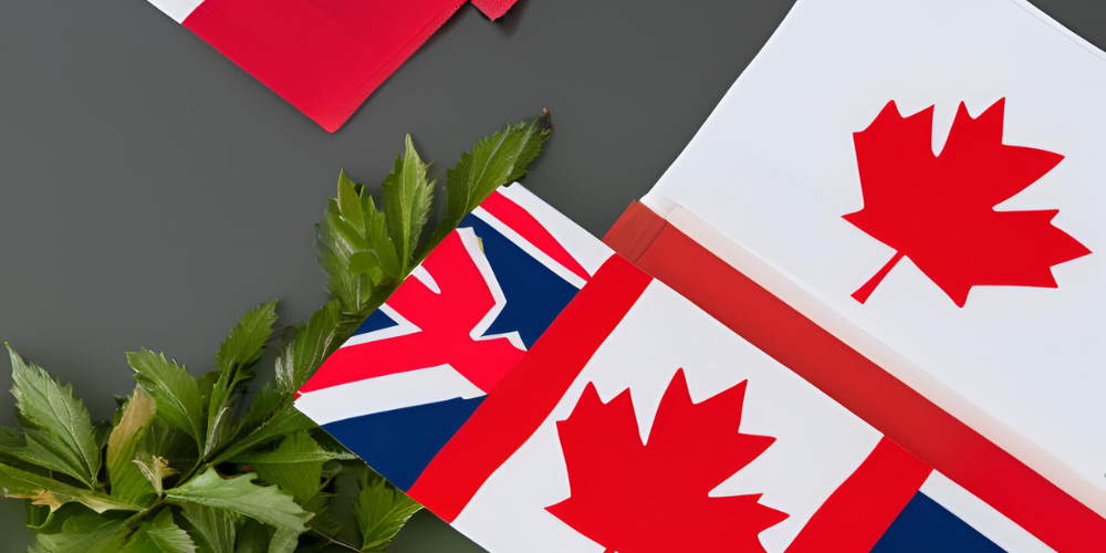 Conquer Canada’s IELTS: Your Complete Guide to Achieving Immigration Success